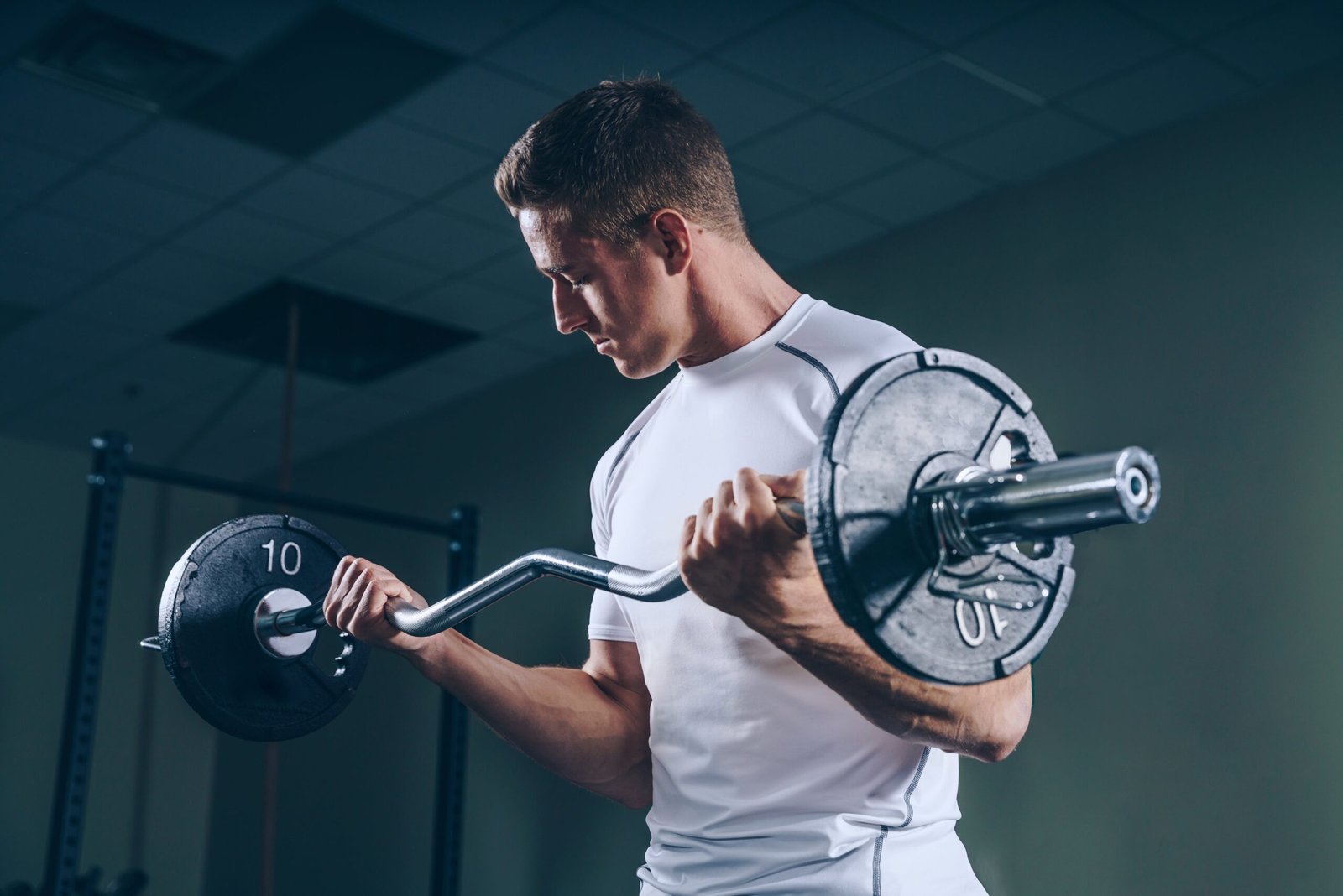 Plant protein banner